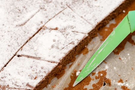 Delicious homemade cake and green slicing knifeの写真素材
