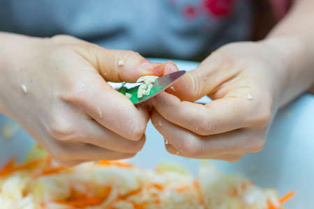 cooks cut garlic with a salad knifeの写真素材
