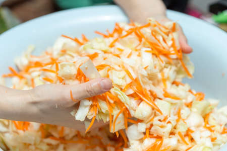 Cooking cabbage and handsの写真素材