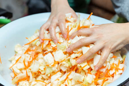 Cooking cabbage and handsの写真素材