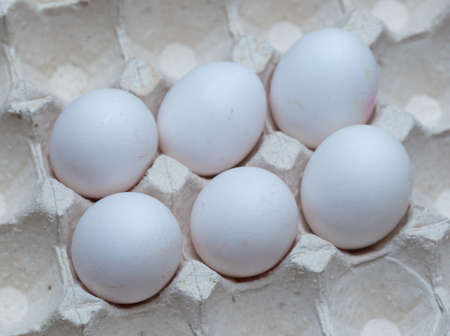 six chicken eggs in a cardboard trayの写真素材