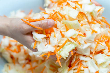 Cooking cabbage and handsの写真素材