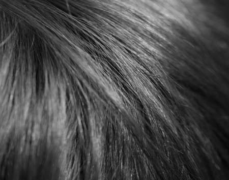 detail macro hair salon close up images of cutting hair and hair textureの写真素材