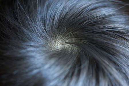 detail macro hair salon close up images of cutting hair and hair textureの写真素材