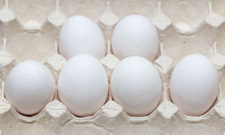 six chicken eggs in a cardboard trayの写真素材
