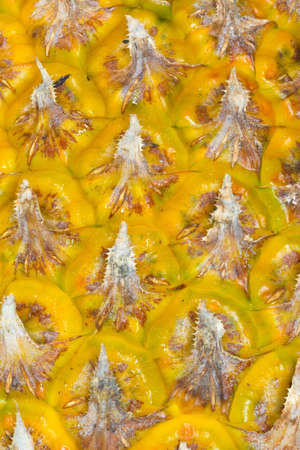 Ripe yellow pineapple skin texture closeup. Pineapple texture. Exotic fruit closeup. Ripe yellow fruit rind macro photo for background or wallpaper. Pineapple skin surface. Sweet tropical fruitの写真素材