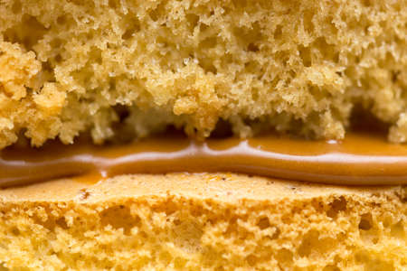 The texture of the cake with milk chocolate cream. Macro shootingの写真素材