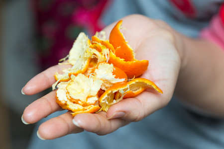 orange peel in handsの写真素材
