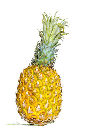 Pineapple on white backgroundの写真素材
