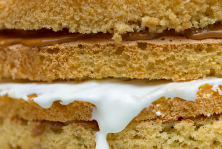 The texture of the cake with milk chocolate cream. Macro shootingの写真素材