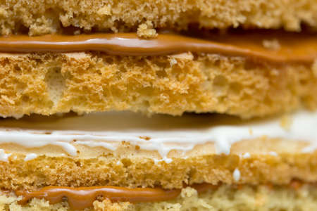 The texture of the cake with milk chocolate cream. Macro shootingの写真素材
