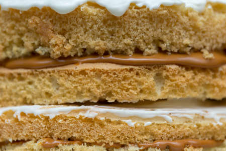 The texture of the cake with milk chocolate cream. Macro shootingの写真素材