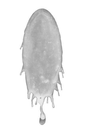 Original bird droppings on white background isolatedの写真素材