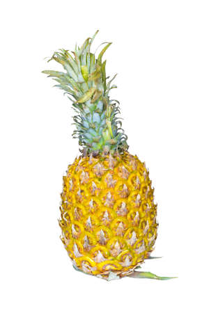 Pineapple on white backgroundの写真素材
