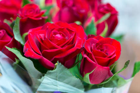 fresh red roses in a bouquet as backgroundの写真素材