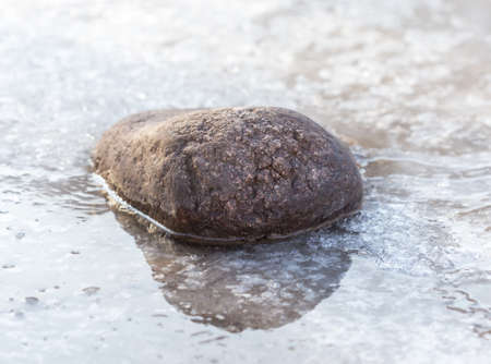stone on ice in a frozen lakeの写真素材