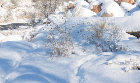 smooth movement of wild water in a river in winter with snow and ice on rocks and stones in beautiful natureの写真素材