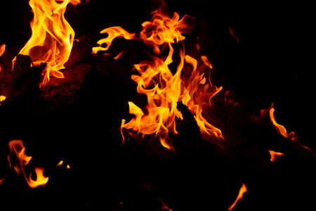 Flame of fire on a black backgroundの写真素材