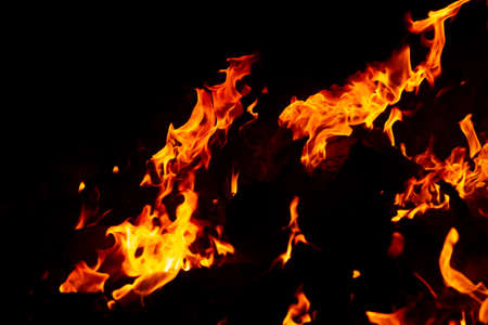 Flame of fire on a black backgroundの写真素材