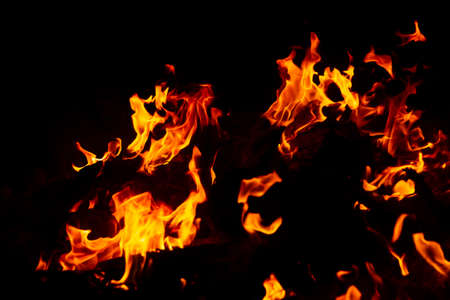 Flame of fire on a black backgroundの写真素材