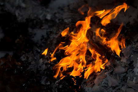 fire flame on black background