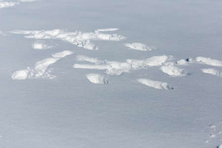 traces of shoes on a background of snowの写真素材