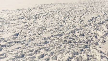 many tracks of flocks of sheep in the snowの写真素材
