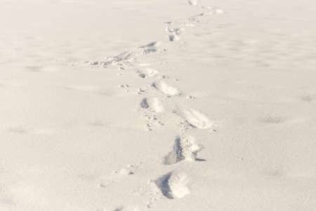 traces of shoes on a background of snowの写真素材