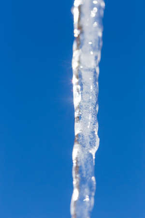 Icicle melts with falling drops on a background of bright blue skyの写真素材