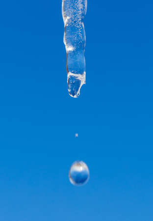 Icicle melts with falling drops on a background of bright blue skyの写真素材