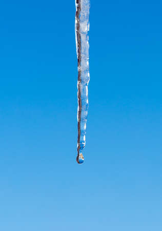 Icicle melts with falling drops on a background of bright blue skyの写真素材