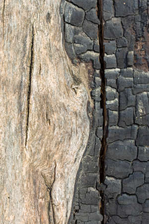 Details on the surface of charcoalの写真素材