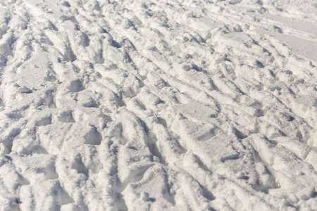 many tracks of flocks of sheep in the snowの写真素材