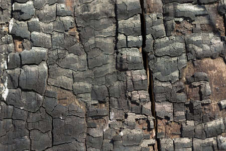 Details on the surface of charcoalの写真素材