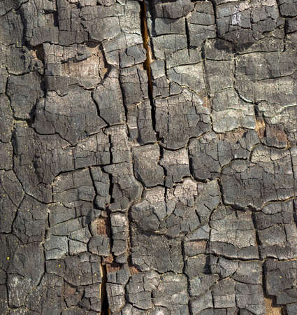 Details on the surface of charcoalの写真素材
