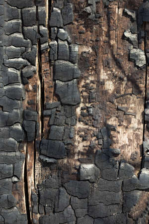 Details on the surface of charcoalの写真素材