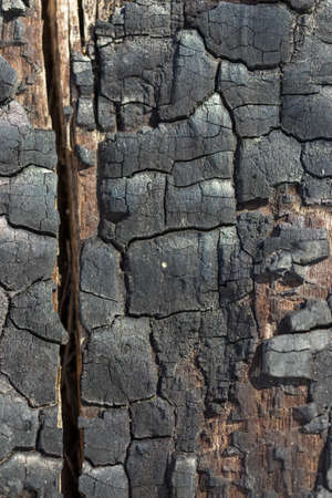 Details on the surface of charcoalの写真素材
