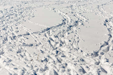many tracks of flocks of sheep in the snowの写真素材