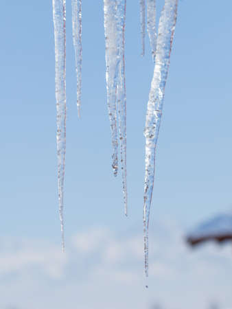 Icicle melts with falling drops on a background of bright blue skyの写真素材