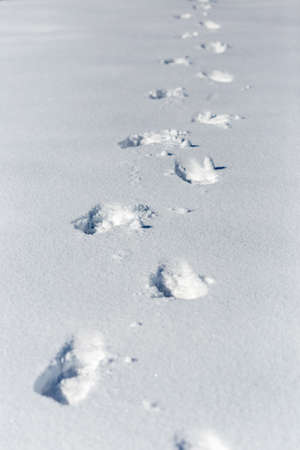 traces of shoes on a background of snowの写真素材