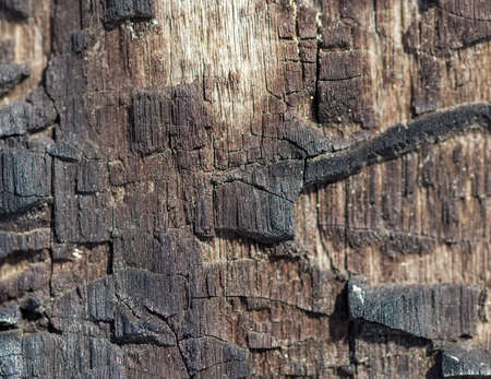 Details on the surface of charcoalの写真素材