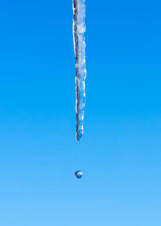 Icicle melts with falling drops on a background of bright blue skyの写真素材