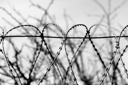 Fence with barbed wire against the skyの写真素材