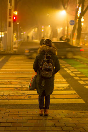 Rear view of a woman going home late at night. The girl crosses the road at the pedestrian crossing.の写真素材