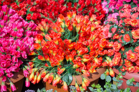 decorative artificial flowersの写真素材