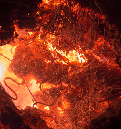 Bright sparkling coals with fire as backgroundの写真素材