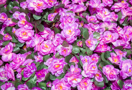decorative artificial flowersの写真素材