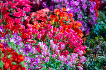 decorative artificial flowersの写真素材