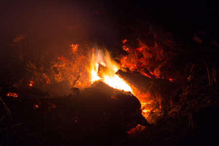 Bright sparkling coals with fire as backgroundの写真素材