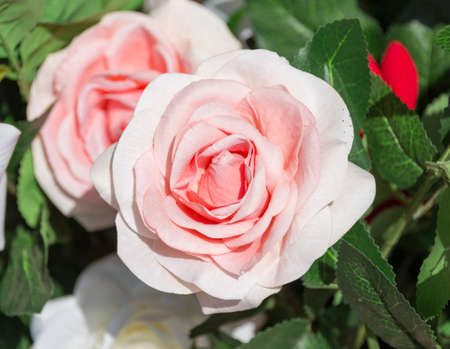 decorative artificial flowersの写真素材